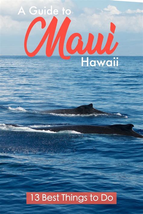Best Things To Do On Maui Hawaii Travel Guide Hudson Vrogue Co