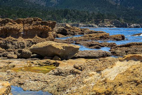 Point Lobos State Natural Preserve Photograph By John Bosma Fine Art