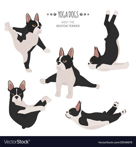 Yoga Dogs Poses And Exercises French Bulldog Vector Image