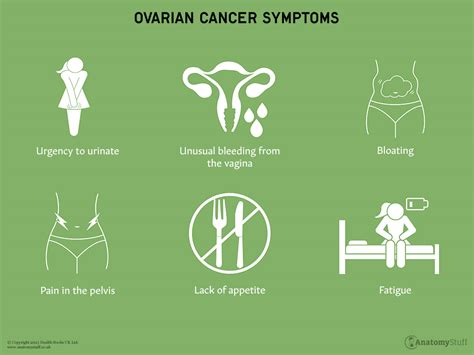 Ovarian Cancer Symptoms And Risk Factors Anatomystuff