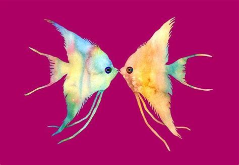 Angelfish Kissing Art Print By Hailey E Herrera Watercolor Fish