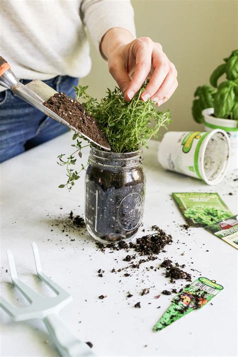 How To Make A Mason Jar Herb Garden Hello Nest