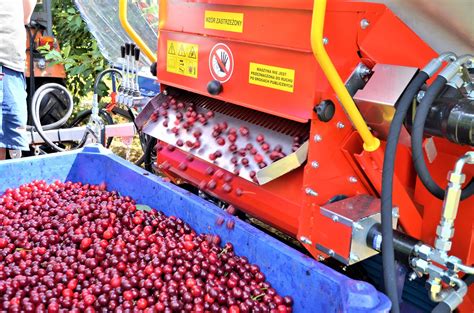 The fruit shaker is attached to a trunk or branch with 12 m long and 8 mm thick steel rope. Plum tree shaker - GACEK - JAGODA JPS Agromachines ...
