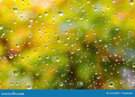 Raindrops On The Window Autumn Foliage Stock Image Image Of Bokeh