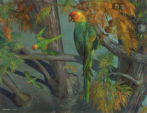 Carolina Parakeet In A Bald Cypress Painting By ACE Coinage Painting By Michael Rothman