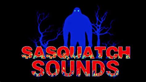 Bigfoot Sounds Sasquatch Voices Indiana June 2021 Youtube