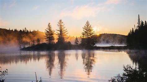 1920x1080 Lake Reflection Morning Mist Trees Nature Hd 4k Laptop Full Hd 1080p Hd 4k Wallpapers