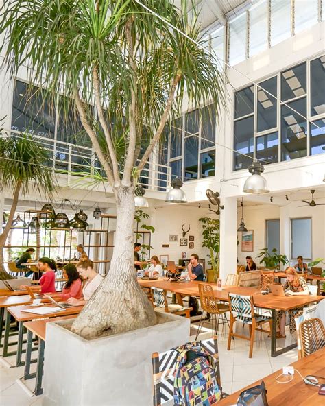 Tropical Nomad Coworking Home