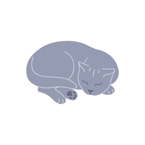 Cat Curled Up Illustrations Royalty Free Vector Graphics And Clip Art