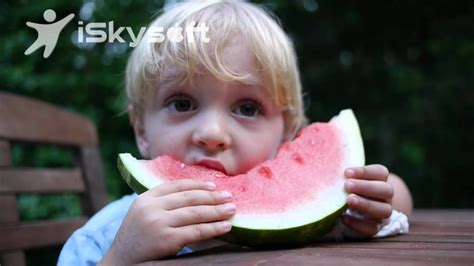 First Watermelon Of Summermp4 Youtube