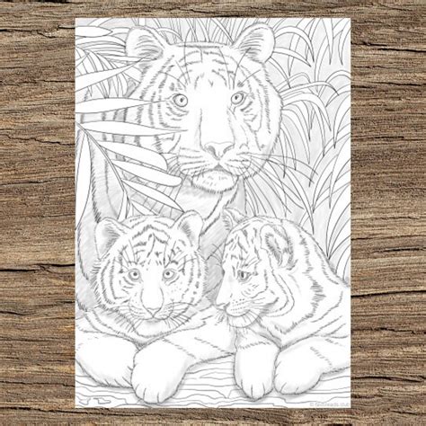 Tigers Printable Adult Coloring Page From Favoreads Etsy