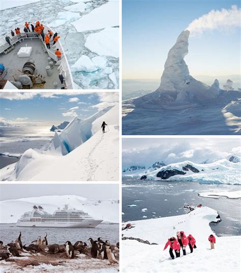 Antarctic Cruises An Exotic And Very Unique Destination