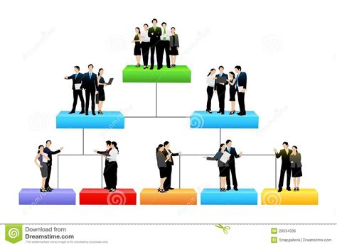 Organisation Tree With Different Hierarchy Level Stock Vector