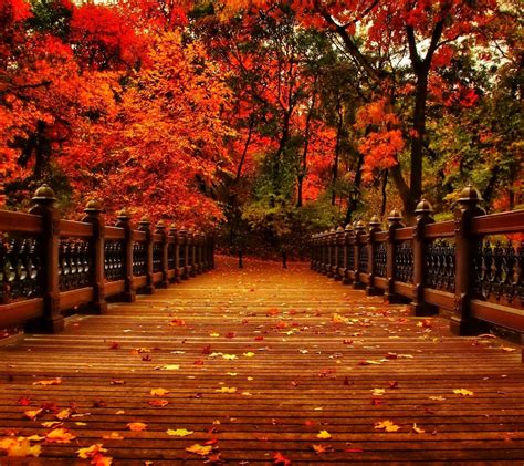 Aesthetic Autumn Wallpapers Wallpaper Cave