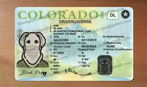 Colorado Drivers License Psd New V1 Blank Psd