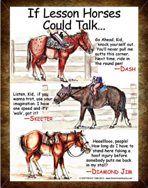 If Lesson Horses Could Talk The Horseaholic