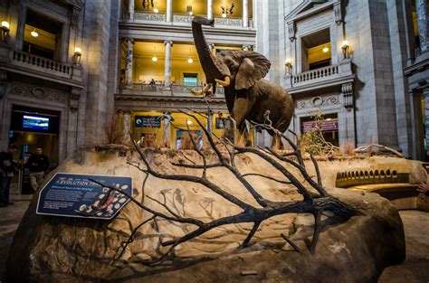 Best Interactive Museums In Washington Dc 2023 Pmcaonline