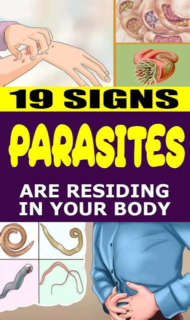 19 Signs Parasites Are Residing In Your Body These Herbs Can Help
