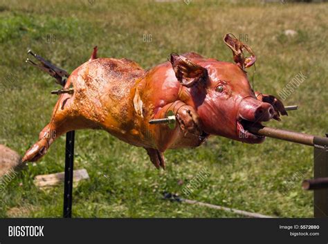 Pig Roasting On Spit Image And Photo Free Trial Bigstock