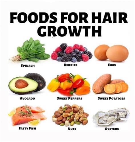 Top 48 Image Best Food For Hair Growth Vn