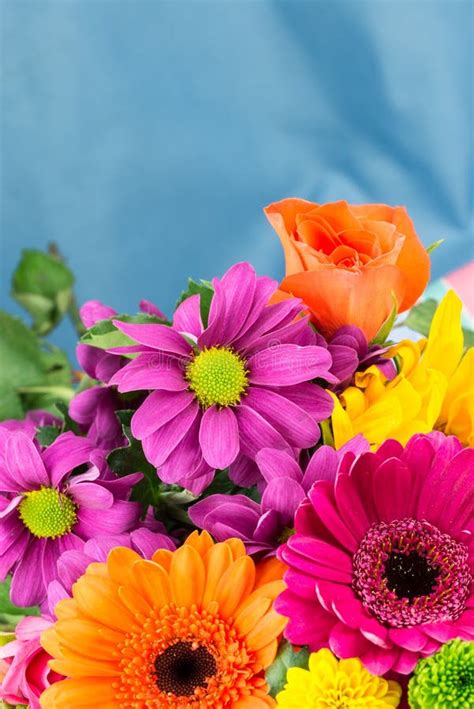 Fresh Vibrant Brightly Coloured Florist Flowers Copy Space Stock