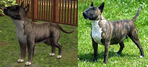 Mod The Sims 4 Bull Terriers