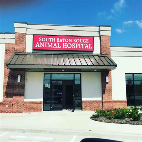 Harbor animal hospital torrance, ca 90501. A few cool services for your favorite pups and kitties - 225
