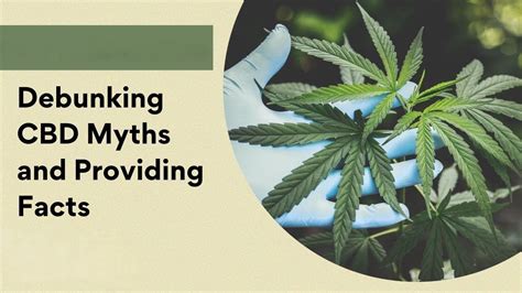 Common Cbd Myths Debunked And Fact