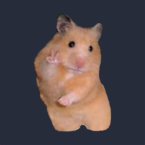 Peace Hamster Hamster T Shirt Teepublic