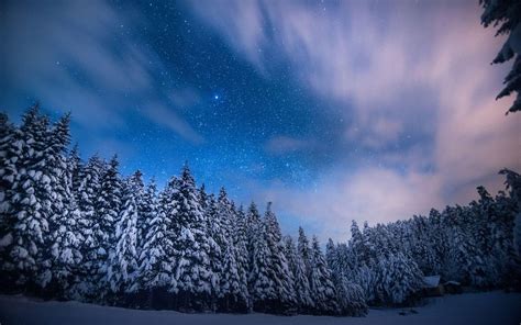 Awesome Bright Stars Above The Frosty Trees Wallpaper Check More At