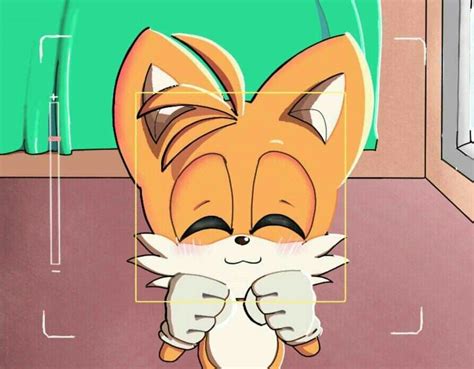 26 Cute Tails Wallpapers