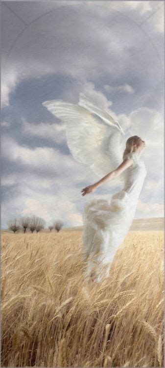 Angel Taking Flight Angel Pictures Fairy Angel Angels In Heaven