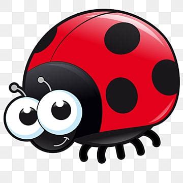 Ladybugs Drawing PNG Transparent Images Free Download Vector Files Pngtree