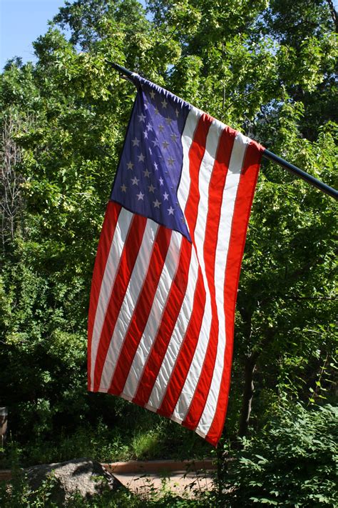 American Flag With Foliage In The Background Picture Free Photograph