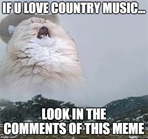 Country Roads Cat Imgflip