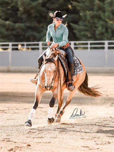 Western Horse Riding Disciplines Hasma