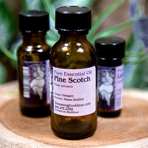 Pine Scotch Essential Oil At The Dreaming Goddess