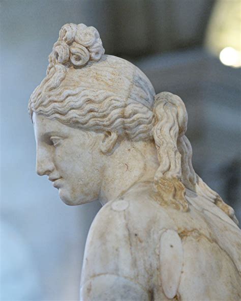 Venus Aphrodite Capitolina Detail Roman Statue Marble Copy Of Greek Original By