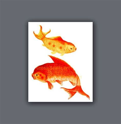 Koi Painting Goldfish Wall Art Print 7 Symbol For Love Red Etsy