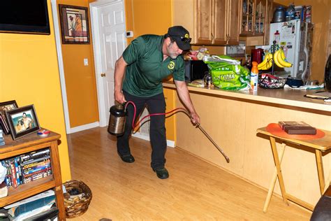 Whats The Difference Between Pest Control And Extermination — Pest