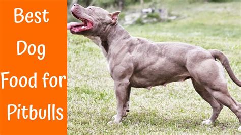 Purina ha hydrolyzed dog food 6. 13 Best Dog Food for Pitbulls to Gain Muscle and Weight ...