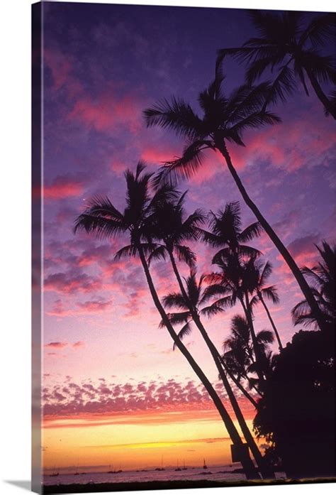 Palm Trees Along Coastline Silhouetted By A Colorful Sunset Sky Wall