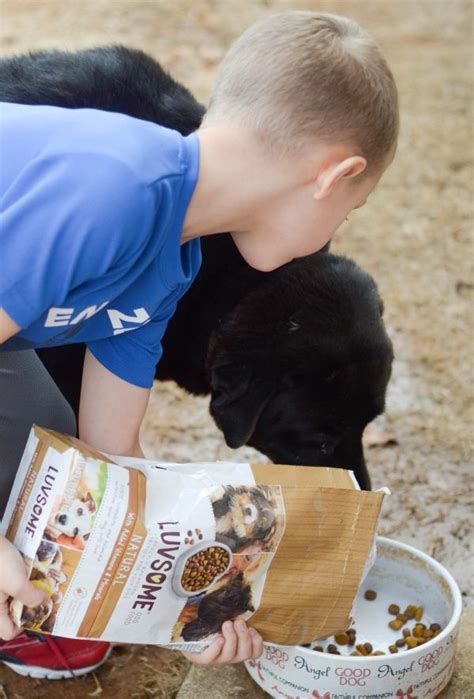 A discussion on the benefits and problems associated with feeding a homemade diet to one's dog, and easy ways to spend more time with your dog plus homemade dog treats made with just one ingredient! Luvsome Dog Food #Luvsome AD | Pet care tips, Pets, Dog ...