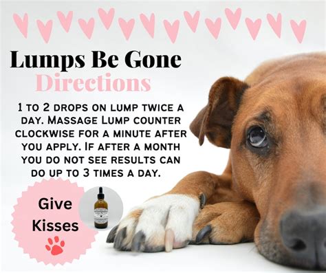 Lumps Be Gone Fatty Mass Dog Warts Lumps Bumps Natural Etsy Uk