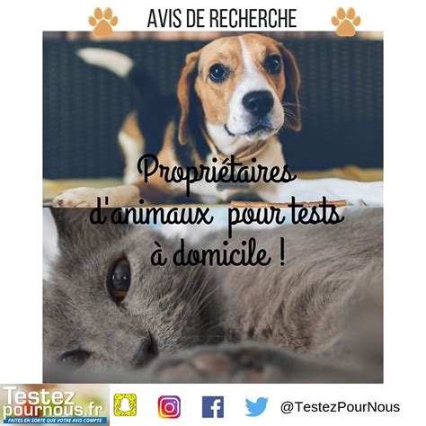 Testez votre niveau en français fle. A nos amis des bêtes à poils 🐶🐱 Nous... - Testez Pour Nous ...