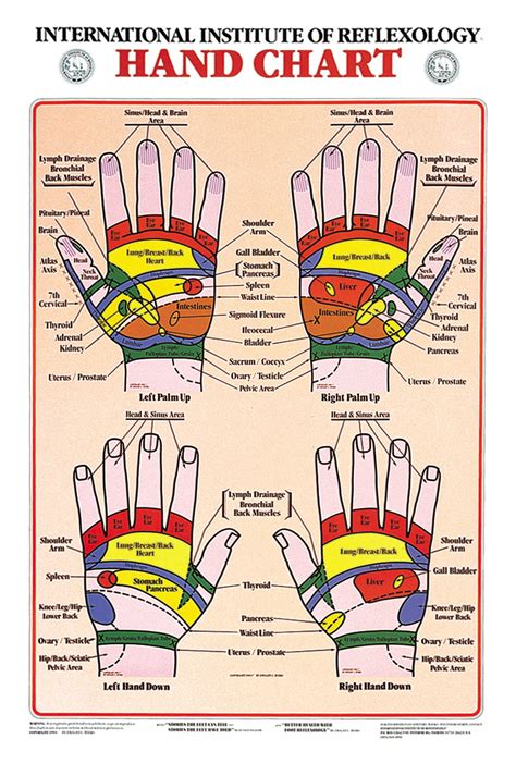 High Resolution Printable Hand Reflexology Chart Theyre Located On Both Hands