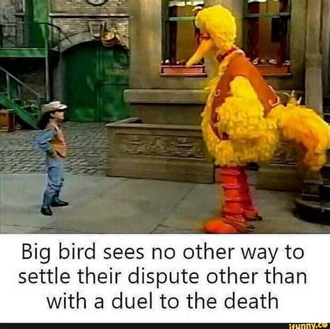 Funny Big Bird Memes Funny Memes Fun