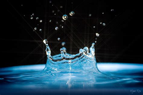 World Of Facts Water Element