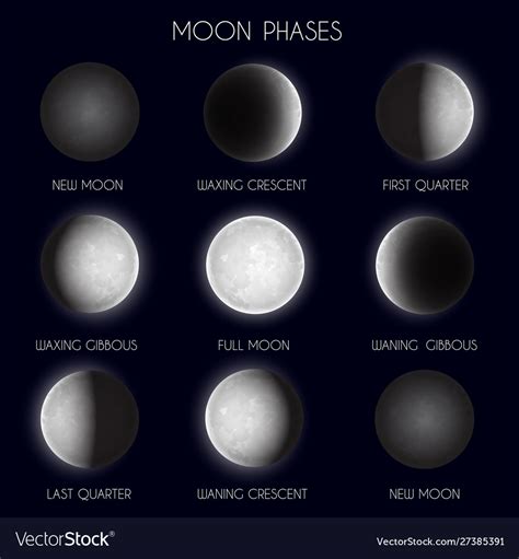 Moon Phases Night Space Astronomy The Whole Cycle Vector Image
