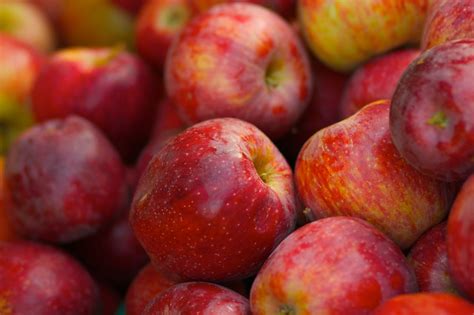 Braeburn Information Learn How To Grow Braeburn Apple Trees